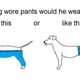 Image for article titled Oh My God There Is Only One Way a Dog Would Wear Pants Stop Debating This